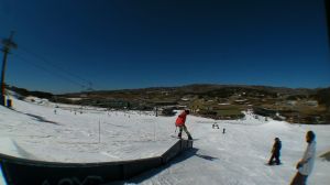 Pauly, Front Nose Blunt on Down-Flat-Down