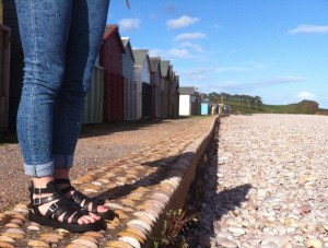 Rocket Dog Budleigh Beach