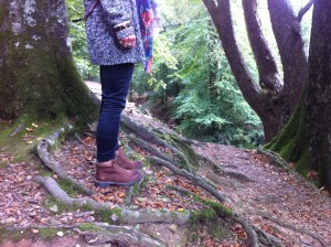 Tillie Burnie in Chesnut