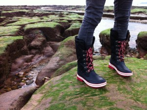 Suri Stable in Black